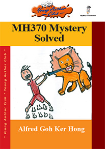 mh370 mystery solved