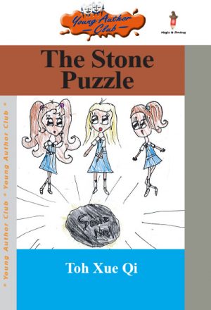 the-stone-puzzle