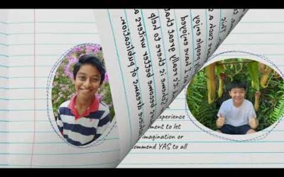 Young Author's Journey 2020